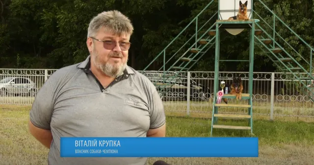 Родовитий пес Буч із Черкас переміг на світовій виставці у Женеві (ВІДЕО)