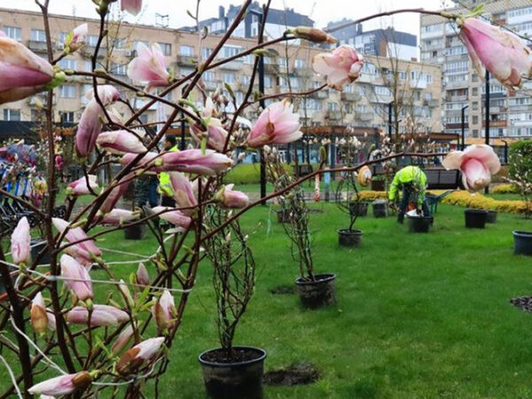 Тепло і перші грози прогнозують на Черкащині