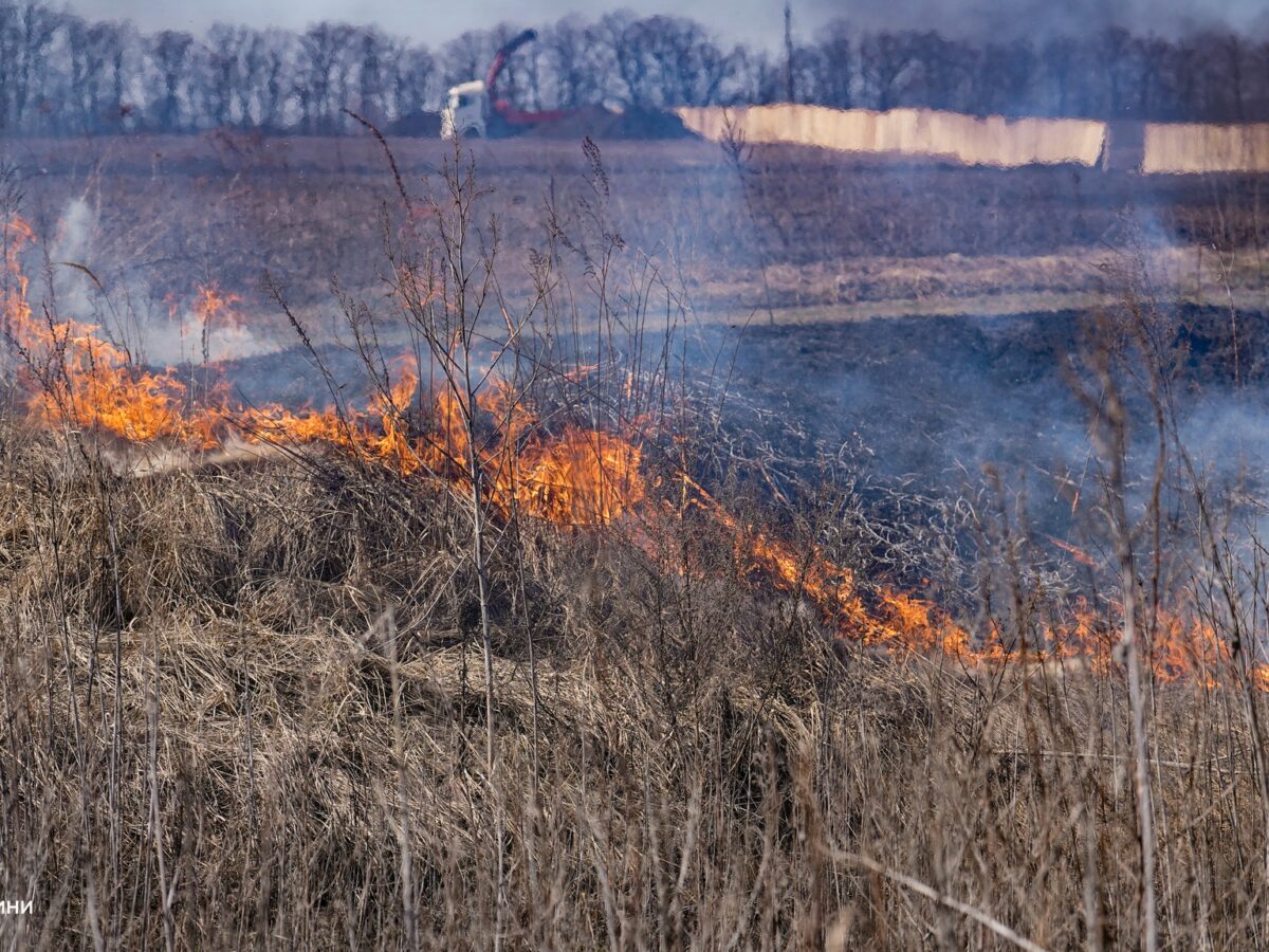 Рятувальники Черкащини ліквідували 23 пожежі сухої рослинності