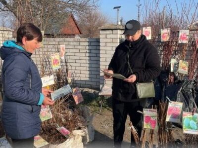 Черкащанам пояснили, як обрати якісні саджанці та не дати себе ошукати