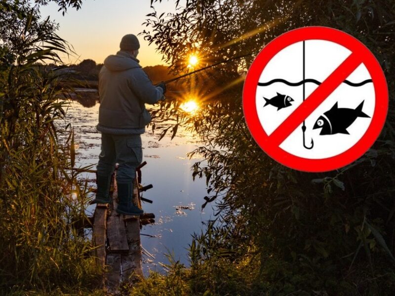 На Черкащині стартує нерестова заборона та посилюються перевірки ринків