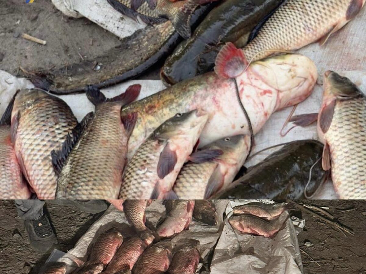 На Черкащині упіймали браконьєра, який наловив риби на понад 60 тис грн