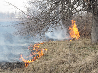 На Черкащині рятувальники за вихідні ліквідували 12 пожеж сухої рослинності