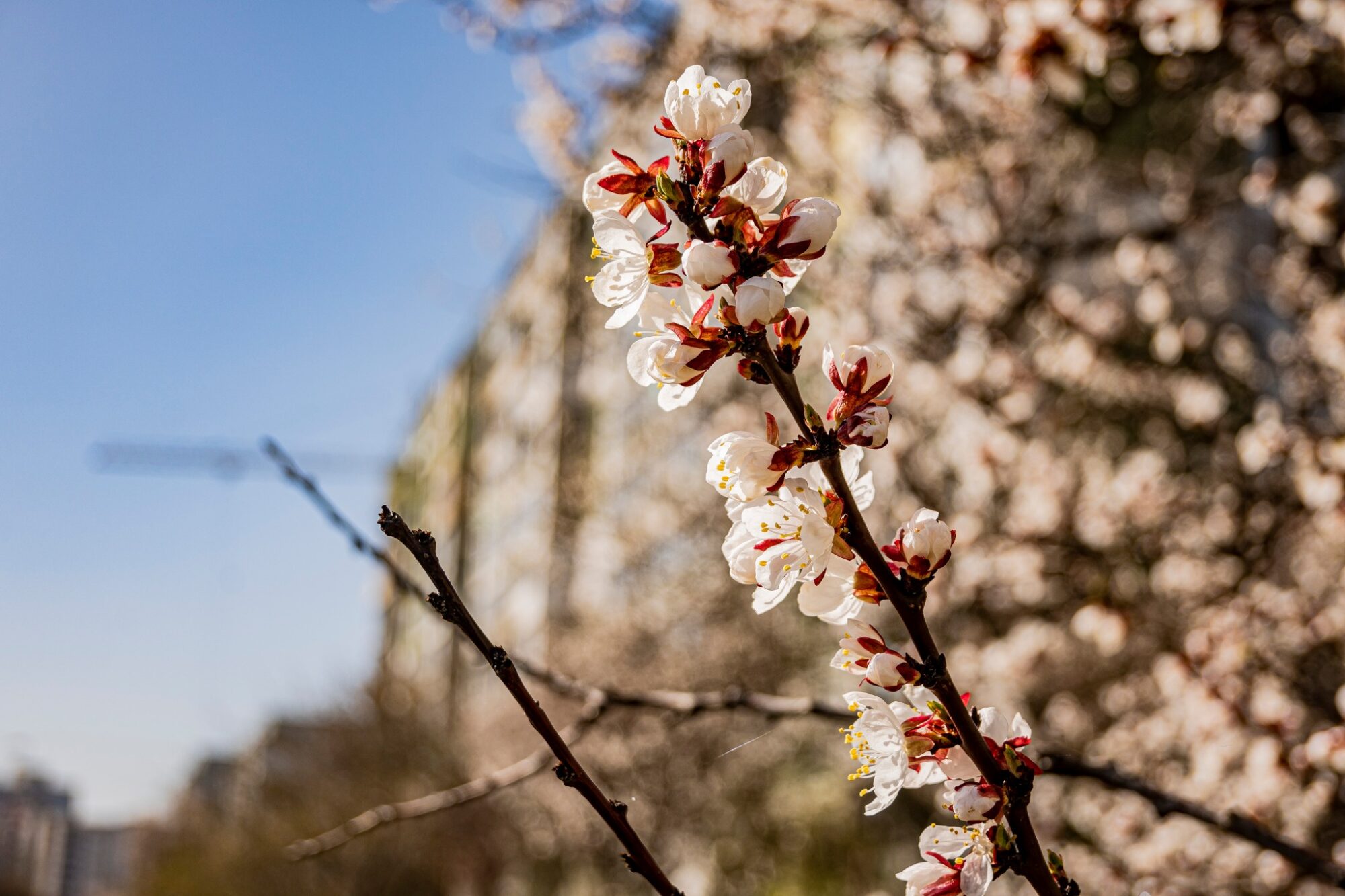 весна погода