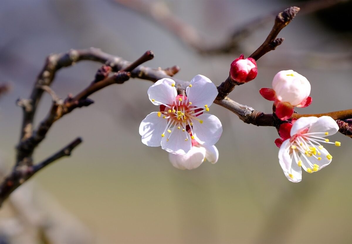 погода весна