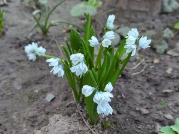 Як цікаво провести перші квітневі вихідні в Черкасах