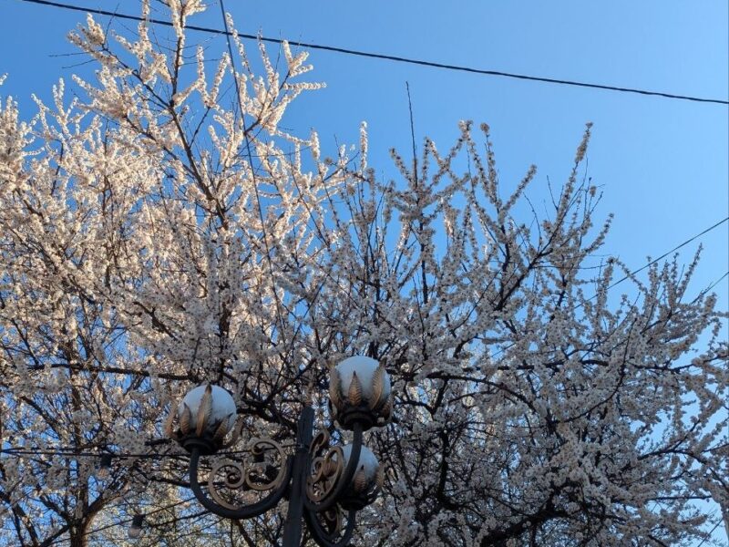 На Черкащині погода взяла курс на потепління