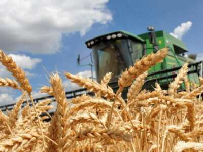 Фермерам повертають гроші: як працює відшкодування на Черкащині