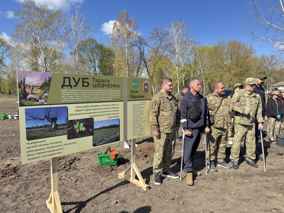 У Кам’янці висадили 300 «Шевченківських дубів»