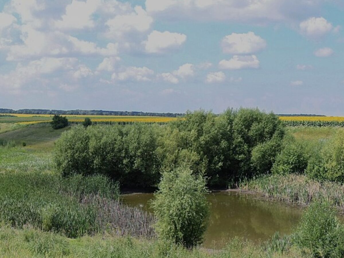 На Уманщині фермер постане перед судом за розорювання заказника