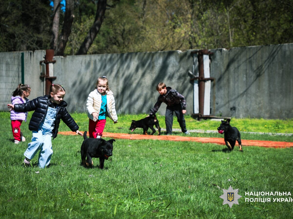 Обійми, що лікують: на Черкащині кінологи влаштували особливе свято для малечі