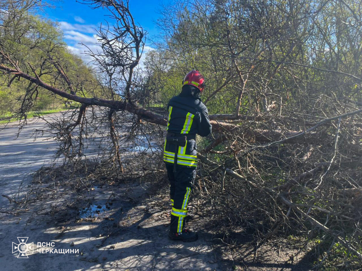 Рвучкий вітер на Черкащині: рятувальники повідомили про трагічні наслідки