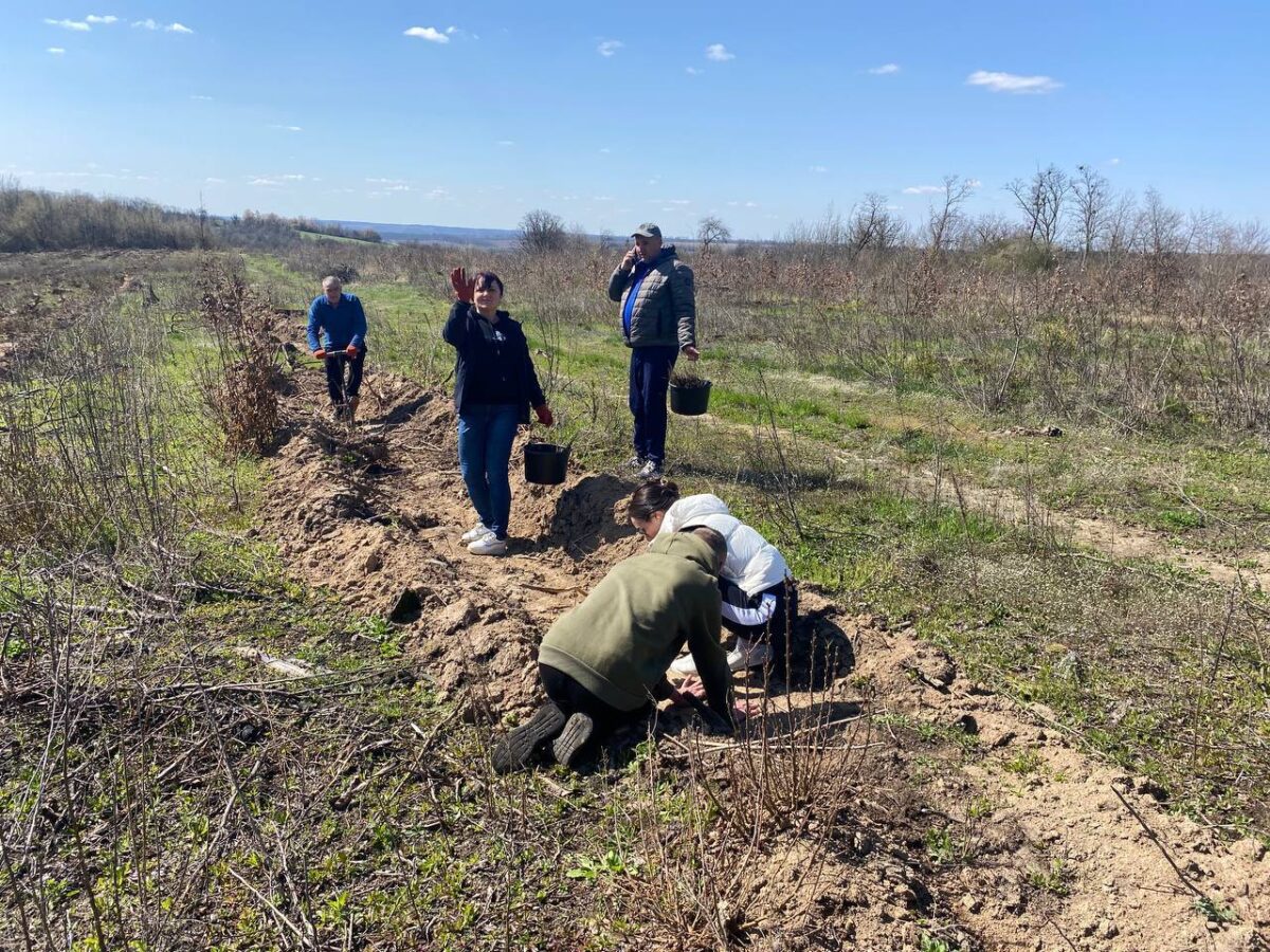 Партнерство заради екології: як на Черкащині відновлюють лісові масиви