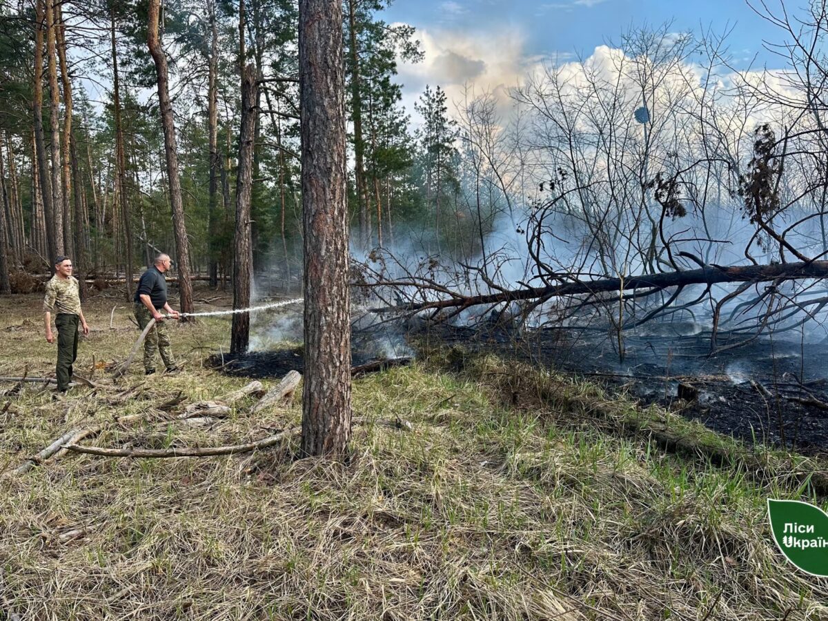 Лісівники показали, якого лиха накоїли російськи БпЛА на Черкащині (ФОТО)