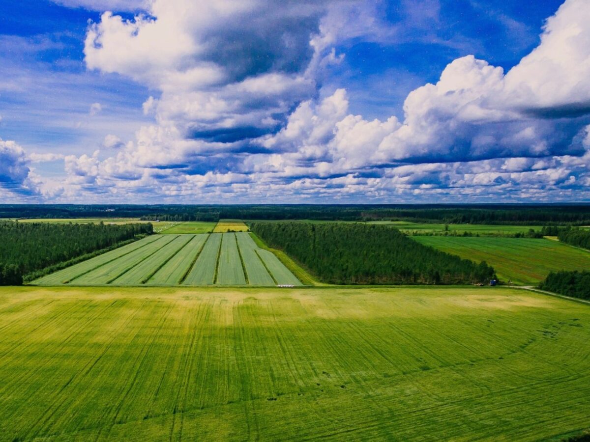 Як Шполянська міськрада отримала «нічий» спадок