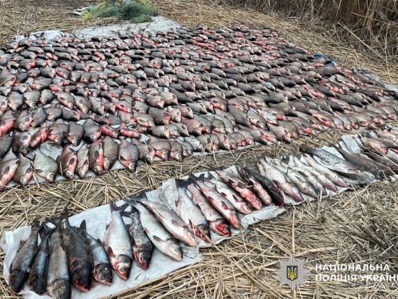 4,3 млн грн збитків: на Черкащині виявили масштабне браконьєрство