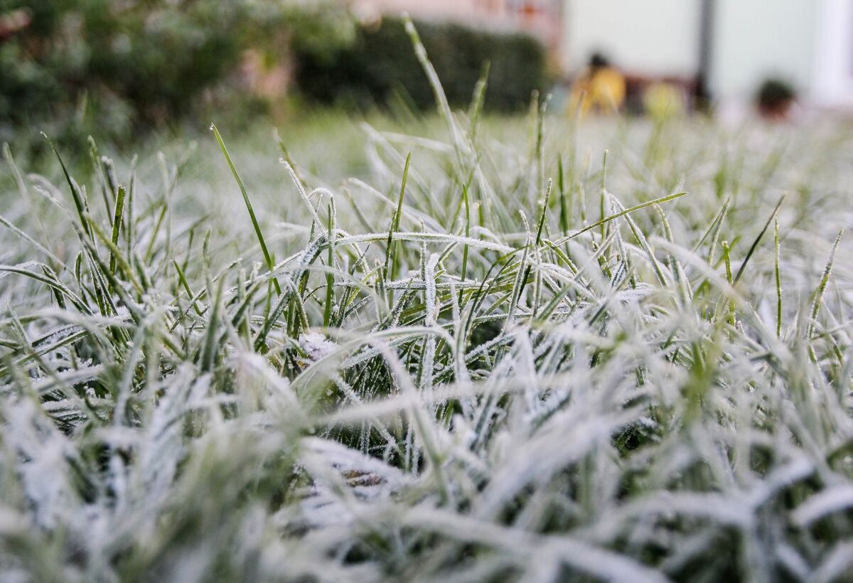 заморозки погода