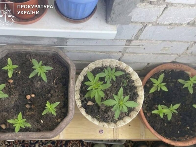 Жителя Черкащини підозрюють  у збуті метадону та продажі зброї