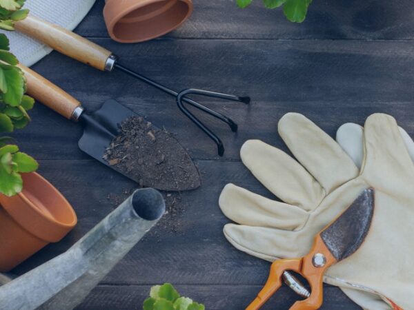Черкаські фахівці попереджають про початок сезону небезпечної інфекції
