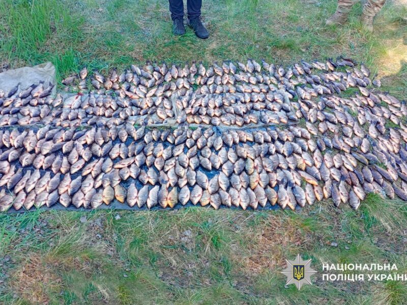 Операція «Нерест» на Черкащині: 38 кримінальних справ і понад 2 млн грн збитків