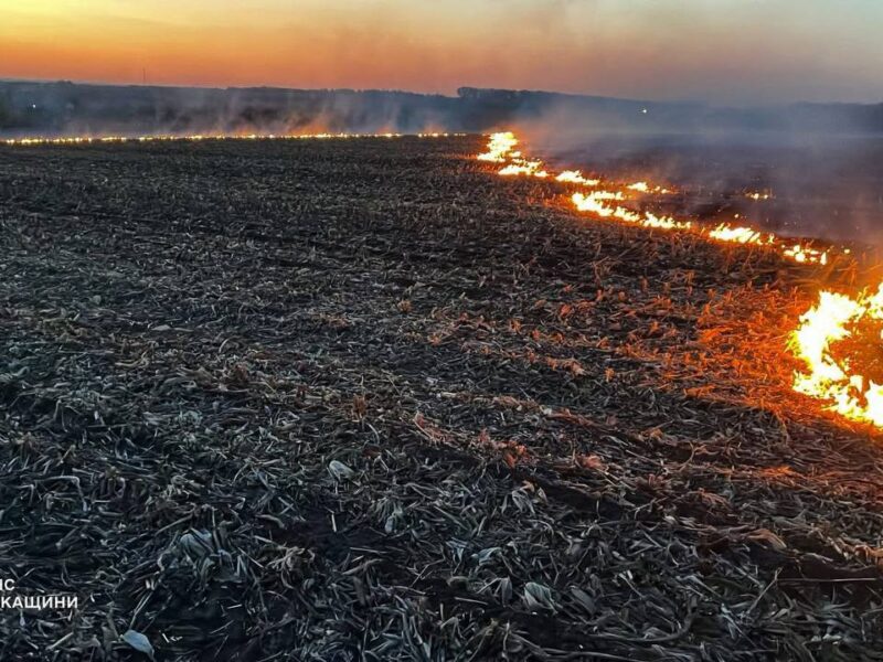 14 пожеж сухої рослинності ліквідували рятувальники за добу на Черкащині