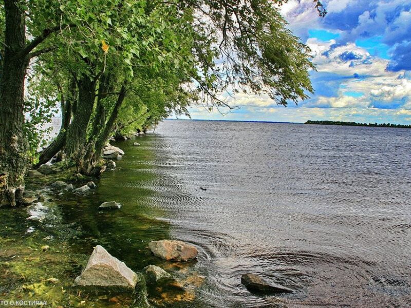На Черкащині викрили браконьєрів: збитки перевищили пів мільйона гривень