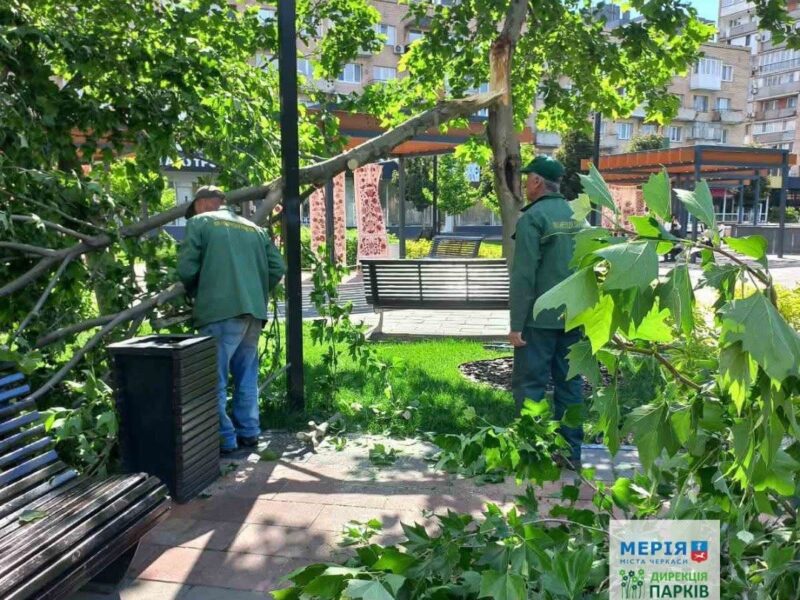 У Черкасах комунальники ліквідовують наслідки буревію
