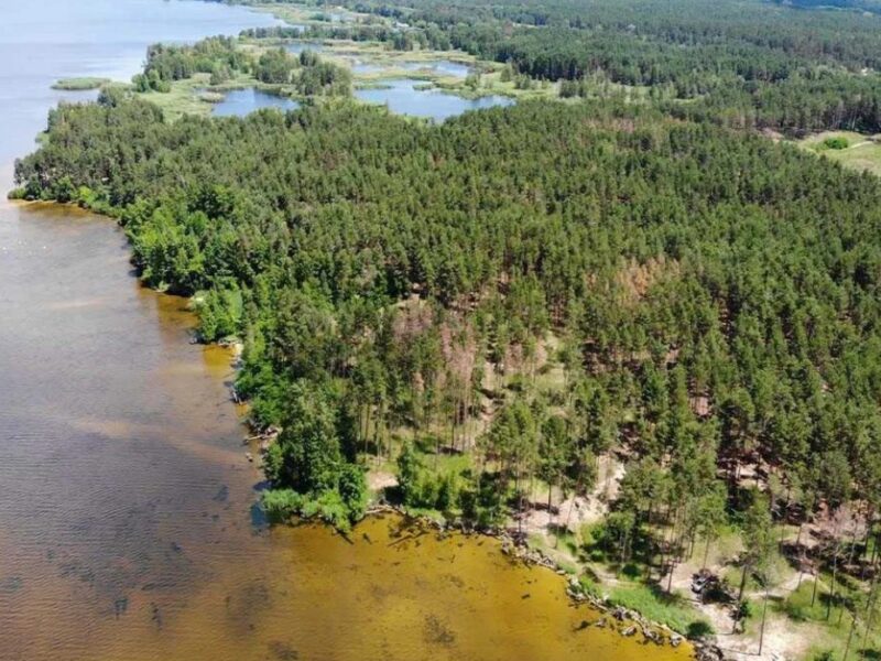 Під Каневом продають право користування півостровом: 15 га на пагорбі Дніпра (ФОТО)