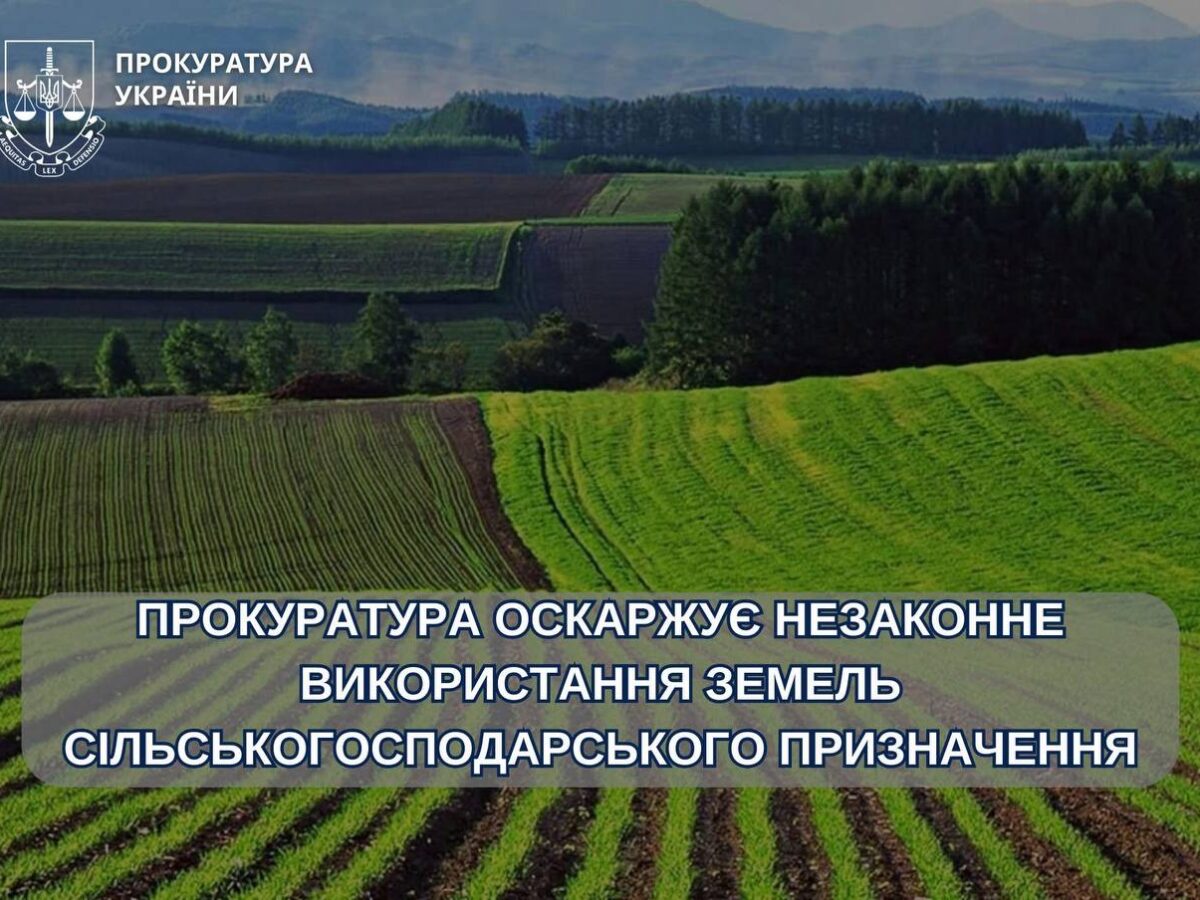  На Чигиринщині орендар «хитрощами» отримав 8 гектарів землі: прокуратура йде до суду
