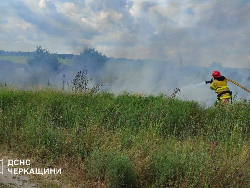 На Черкащині за добу – 7 пожеж на відкритих територіях