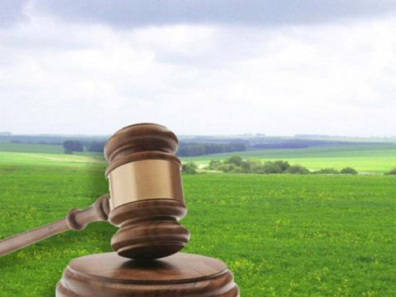 Суд конфіскував земельну ділянку, успадковану громадянкою рф на Черкащині