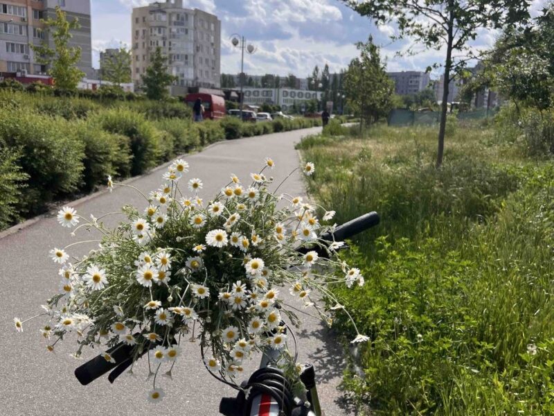 Черкаси на вихідні 6 та 7 червня: куди піти та як цікаво відпочити