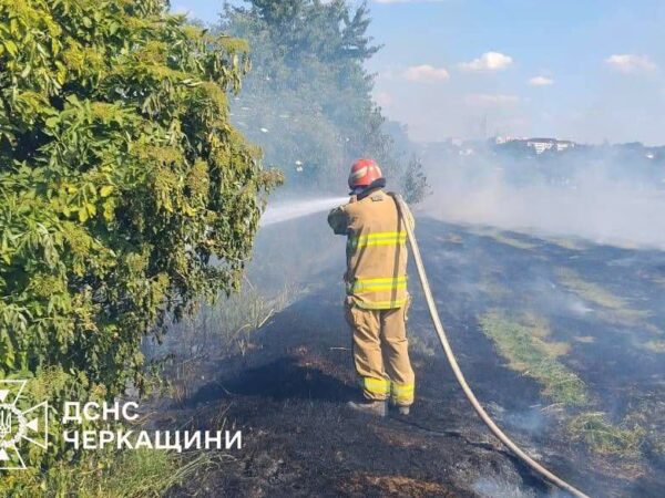 На Черкащині ліквідували 9 пожеж на відкритих територіях за добу