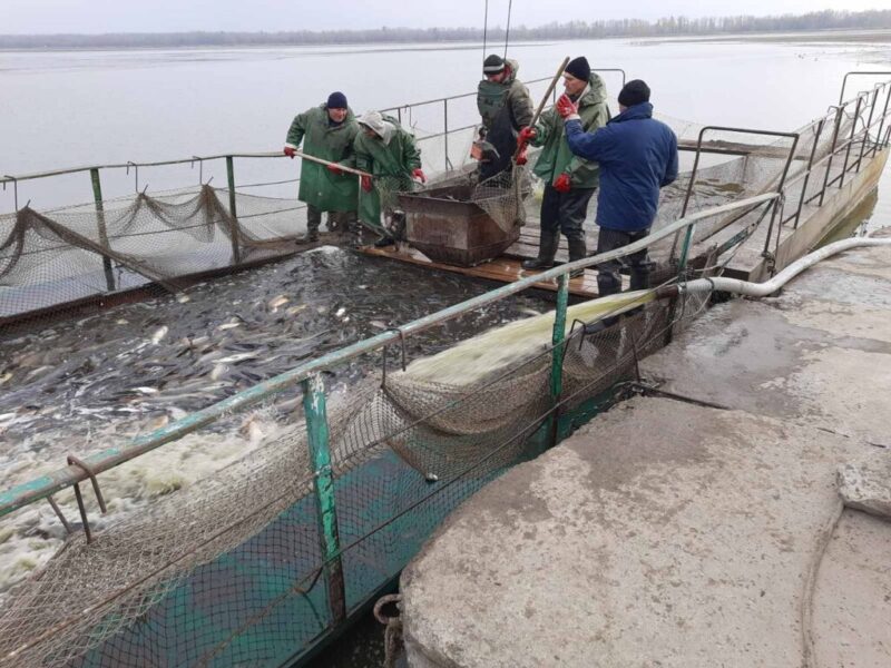 Прокуратура хоче через суд скасувати початок приватизації унікального підприємства на Черкащині