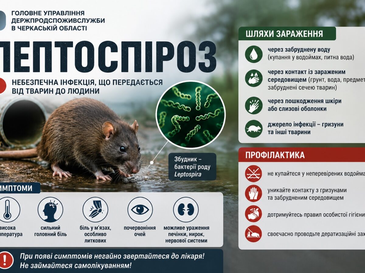 На Уманщині зафіксували випадок лептоспірозу