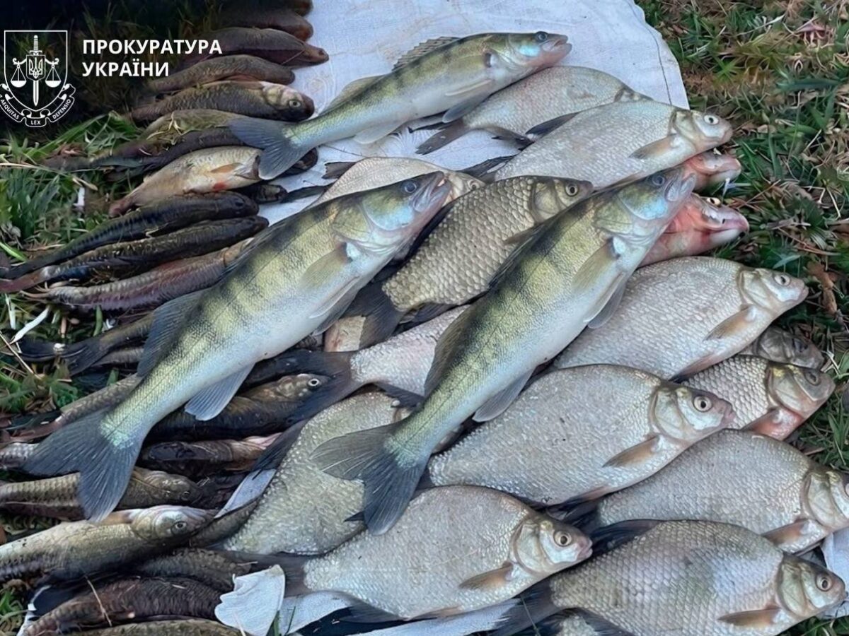 За браконьєрський вилов риби черкащанина засудили до трьох років ув’язнення