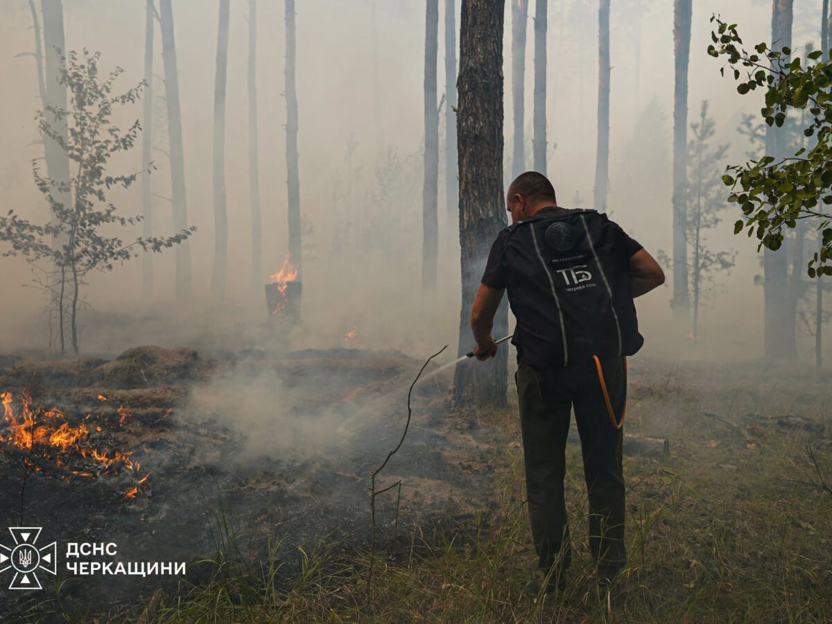 Масштабну лісову пожежу у Черкаському районі ліквідовано