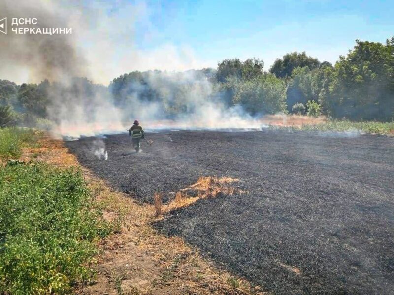 На Черкащині за добу ліквідували 15 пожеж в екосистемах
