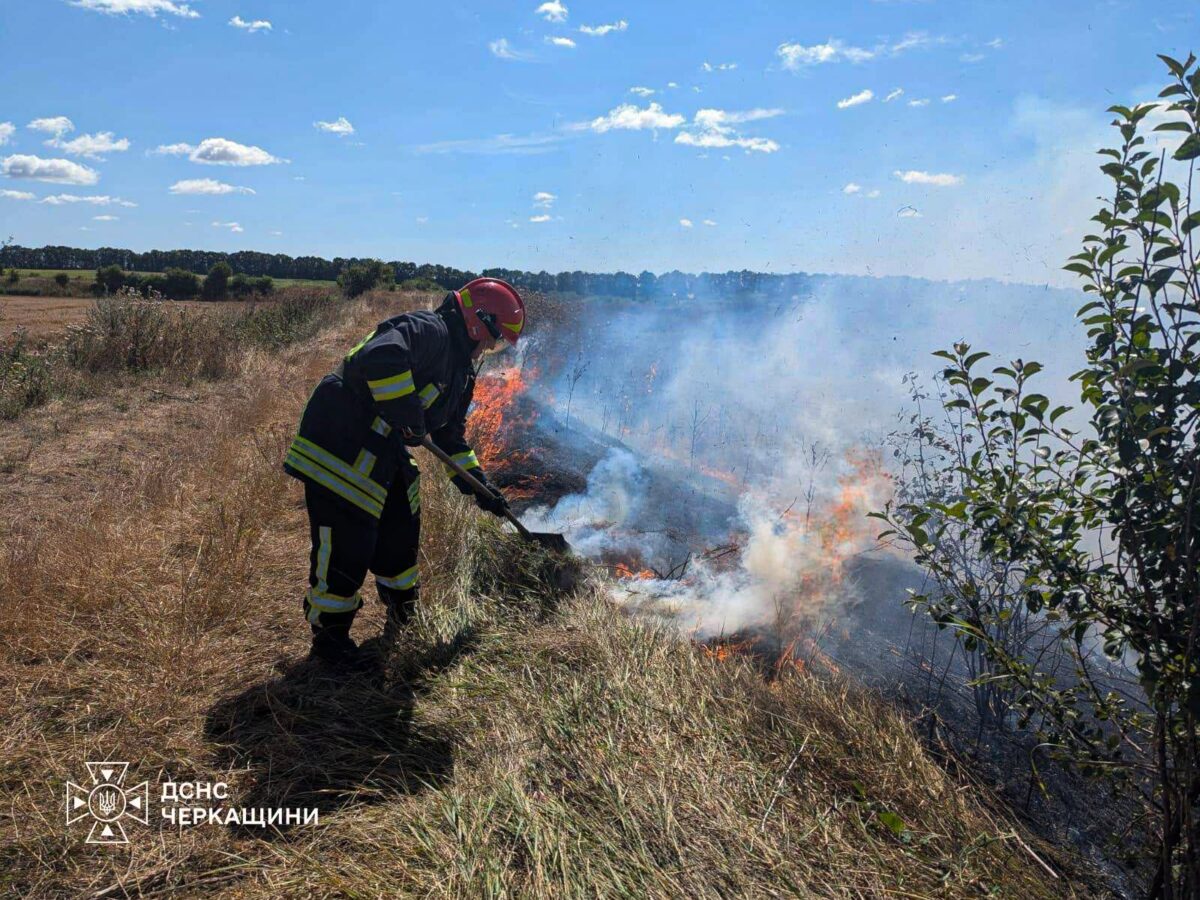 29 пожеж ліквідували за добу на Черкащині