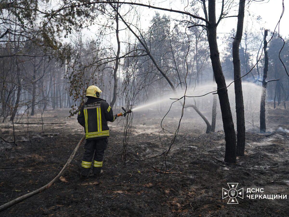 Лісова пожежа на Черкащині охопила площу 122 гектара, триває ліквідація (ВІДЕО)