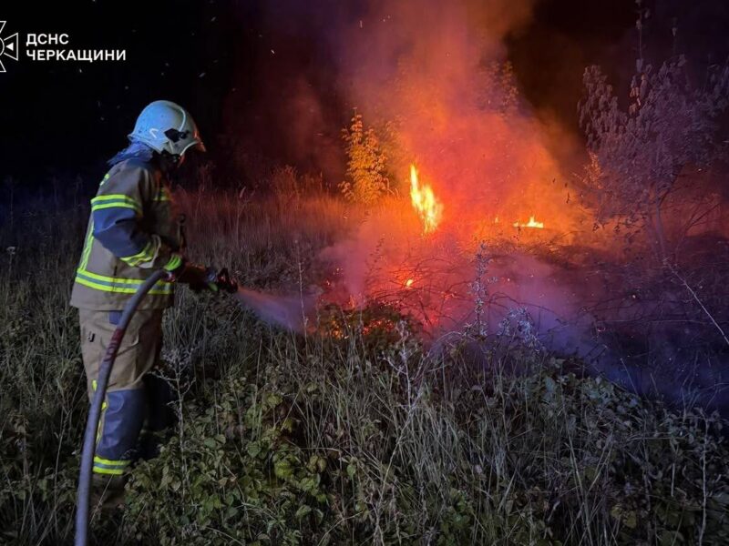 Майже три десятки пожеж зареєстрували на Черкащині за добу