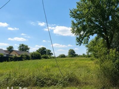 Канікули, які запам’ятаються: діти працівників АТ «ЧЕРКАСИОБЛЕНЕРГО» відпочивають у «Бригантині»