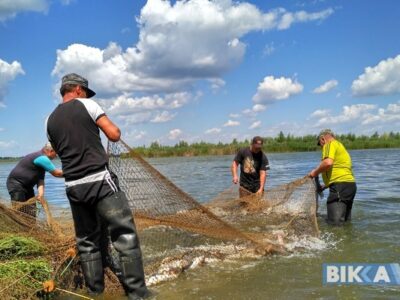 Конфлікт в Іркліївському риборозпліднику: колектив та ветерани виступили проти звільнення директора