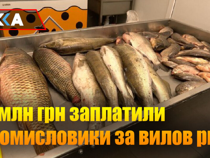 За право виловлювати рибу в Кременчуцькому водосховищі промисловики заплатили 18,4 млн грн