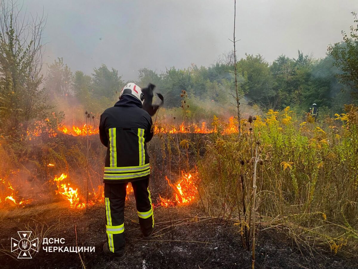 За добу на Черкащині спалахнуло 8 пожеж в екосистемах
