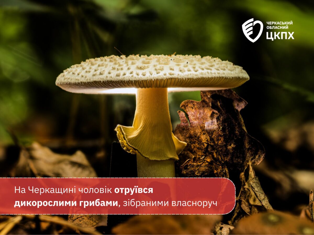 Сезон відкрито: на Черкащині чоловік отруївся дикорослими грибами