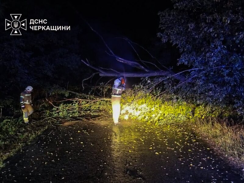 Рятувальники прибрали дерева, що упали на автодороги на Золотоніщині