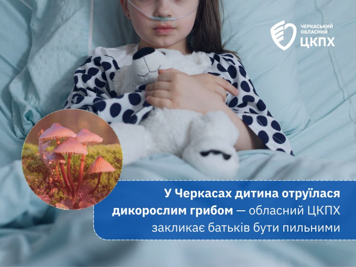 У Черкасах дитина отруїлася дикорослим грибом