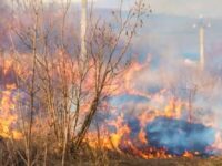 Черкаські енергетики нагадали, чому не можна палити сухостій під лініями електропередачі