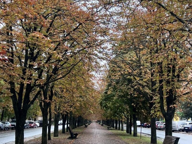 У Черкасах зафіксували перевищення допустимого рівня формальдегіду в шість разів